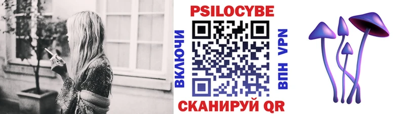 Псилоцибиновые грибы прущие грибы  Купить закладки  Ахтубинск 
